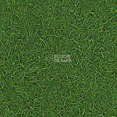 Линолеум IVC Bingo GRASS 25 фото 1 | FLOORDEALER